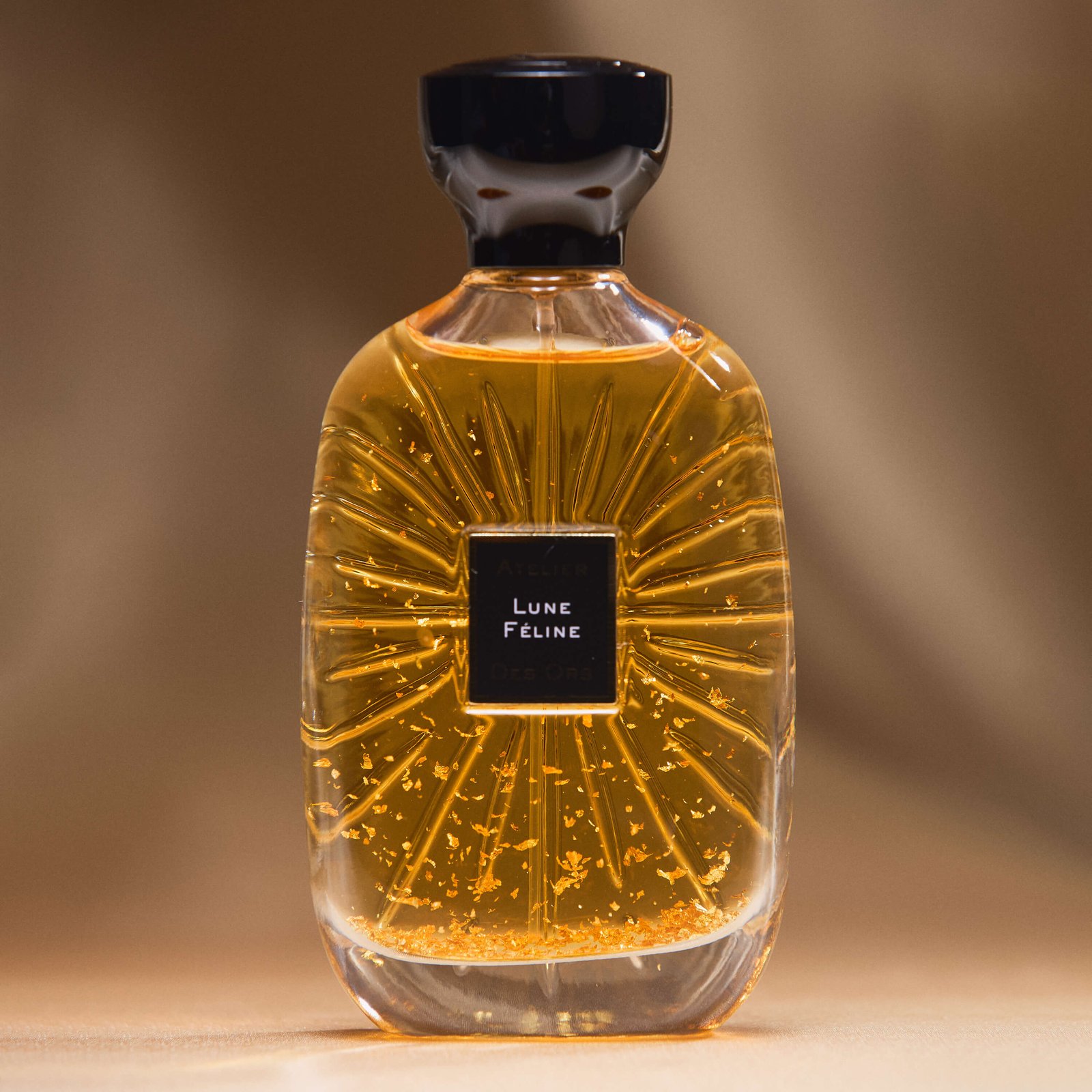 Lune Féline — vedere 4