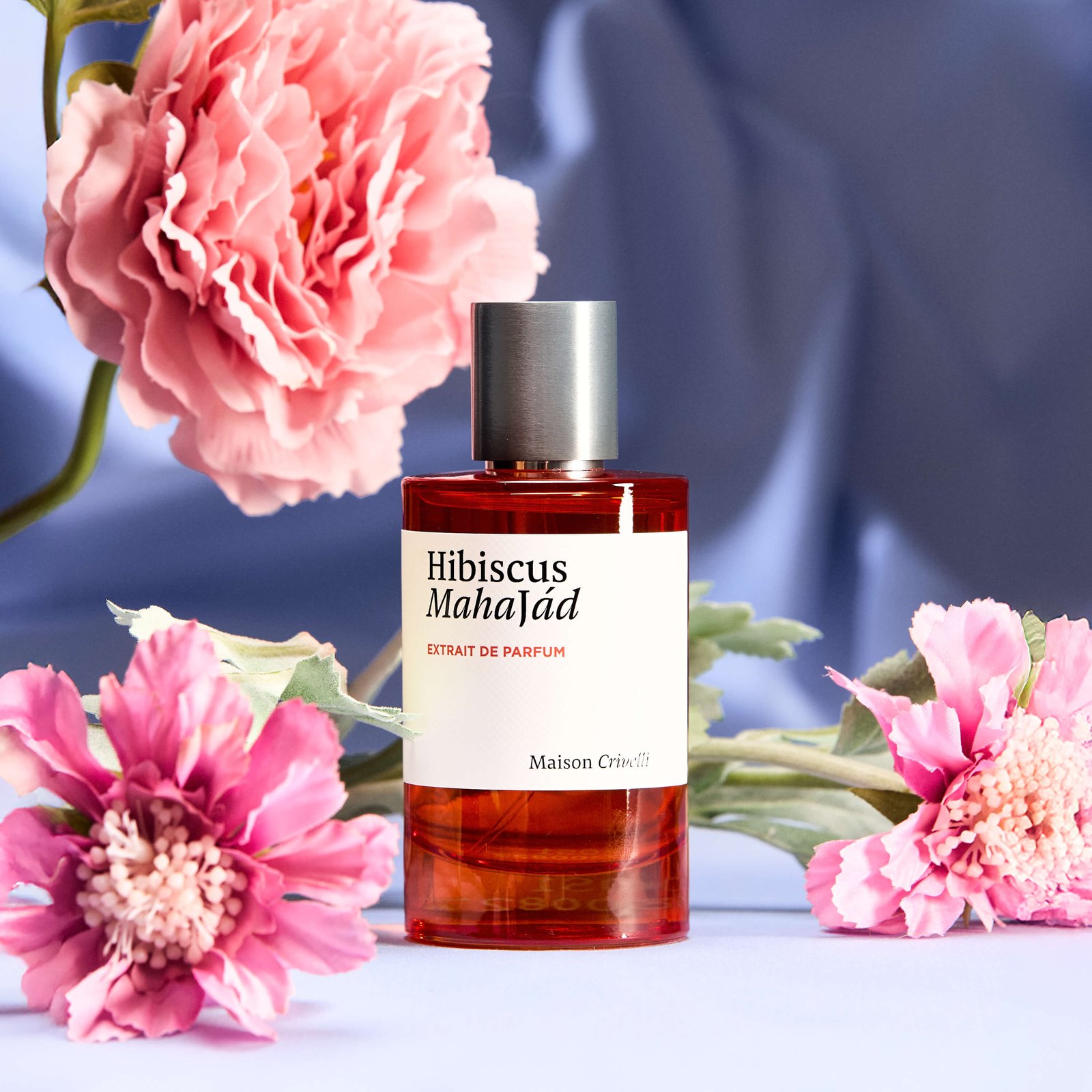 Hibiscus Mahajád — vedere 4