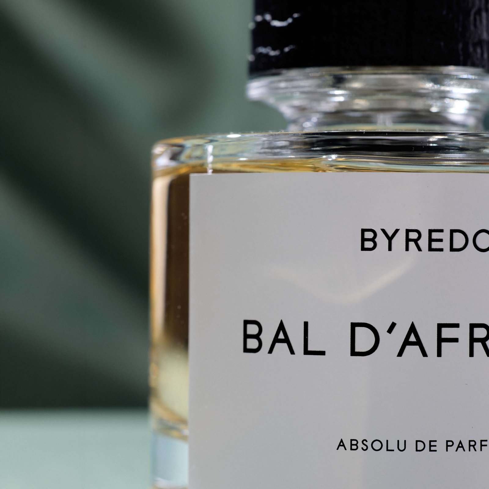 Bal D’Afrique Absolu — vedere 3