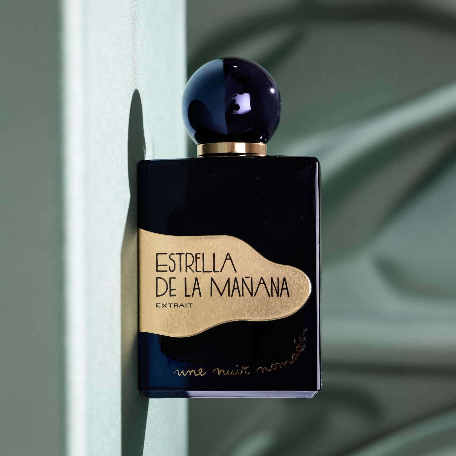 Estrella de la Mañana — vedere 2
