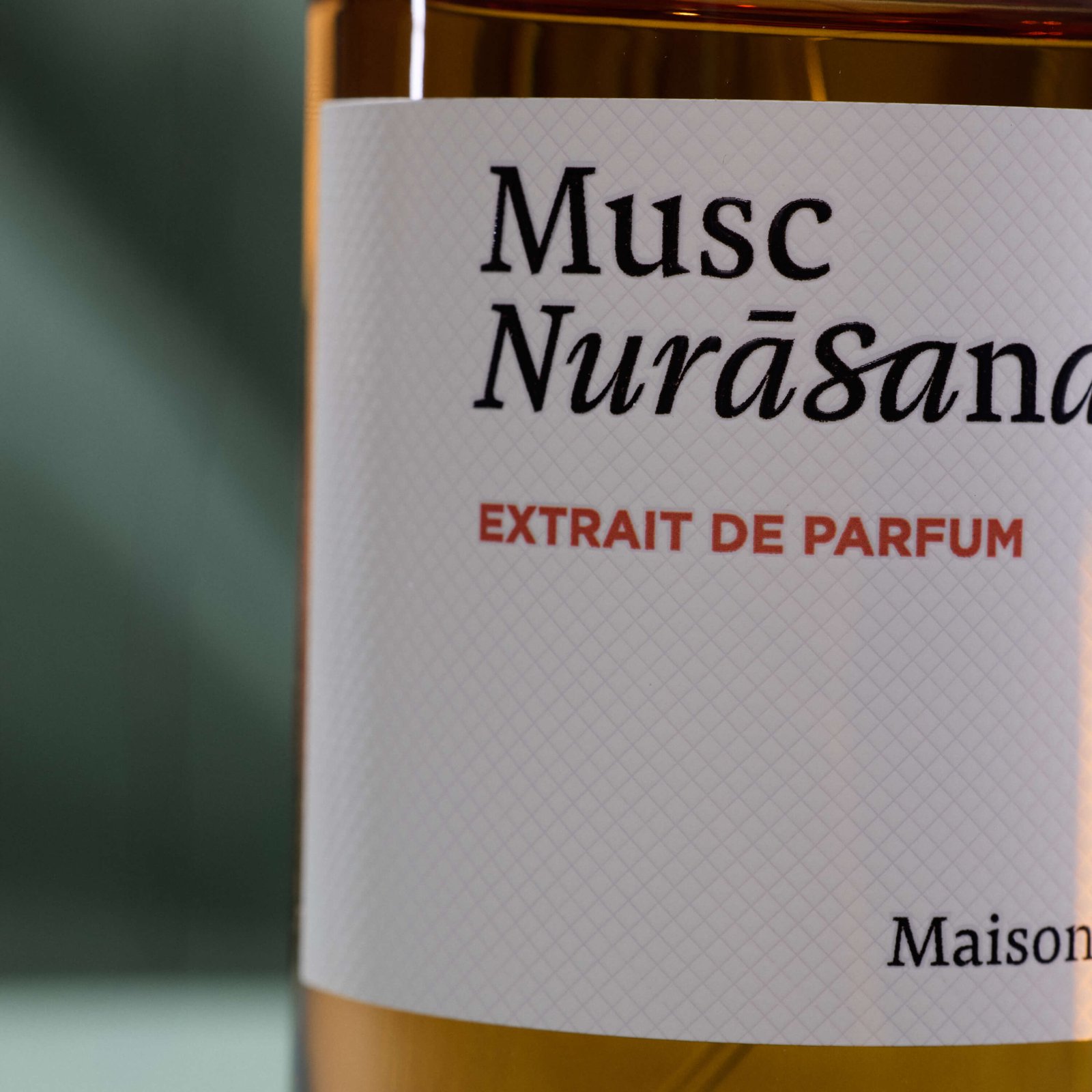 Musc Nurāsana — vedere 3