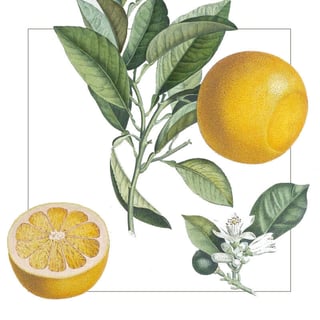 Lămâie