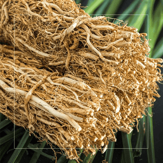Vetiver