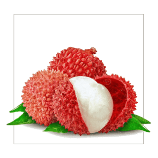 Litchi