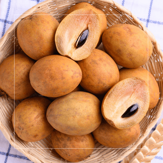 Sapodilla