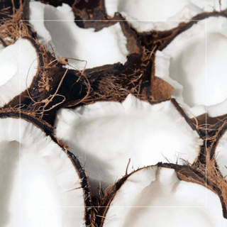 Nucă de Cocos